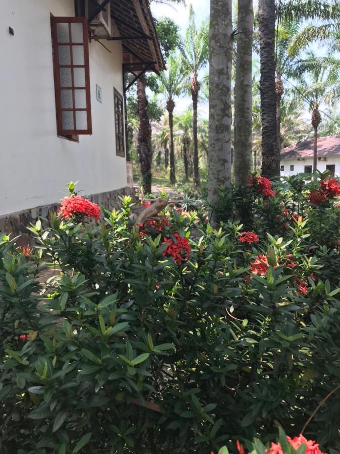 Palm Garden House Hotel Quang Tri Exterior photo