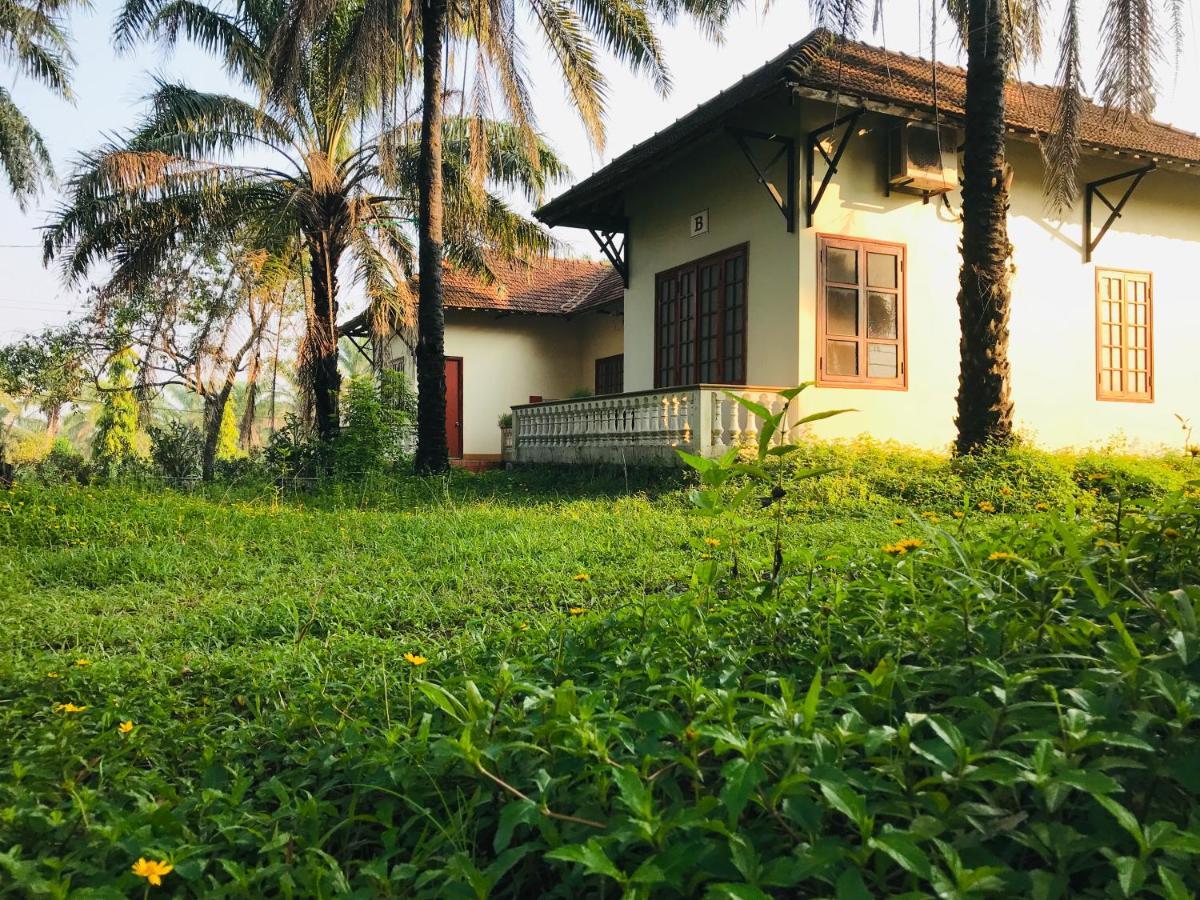Palm Garden House Hotel Quang Tri Exterior photo